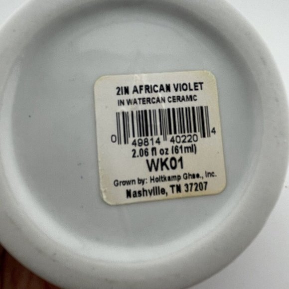 Holtkamp Greenhouses Inc. 2" Blue White Ceramic Watercan Planter‎ Succulent Pot - Picture 5 of 7